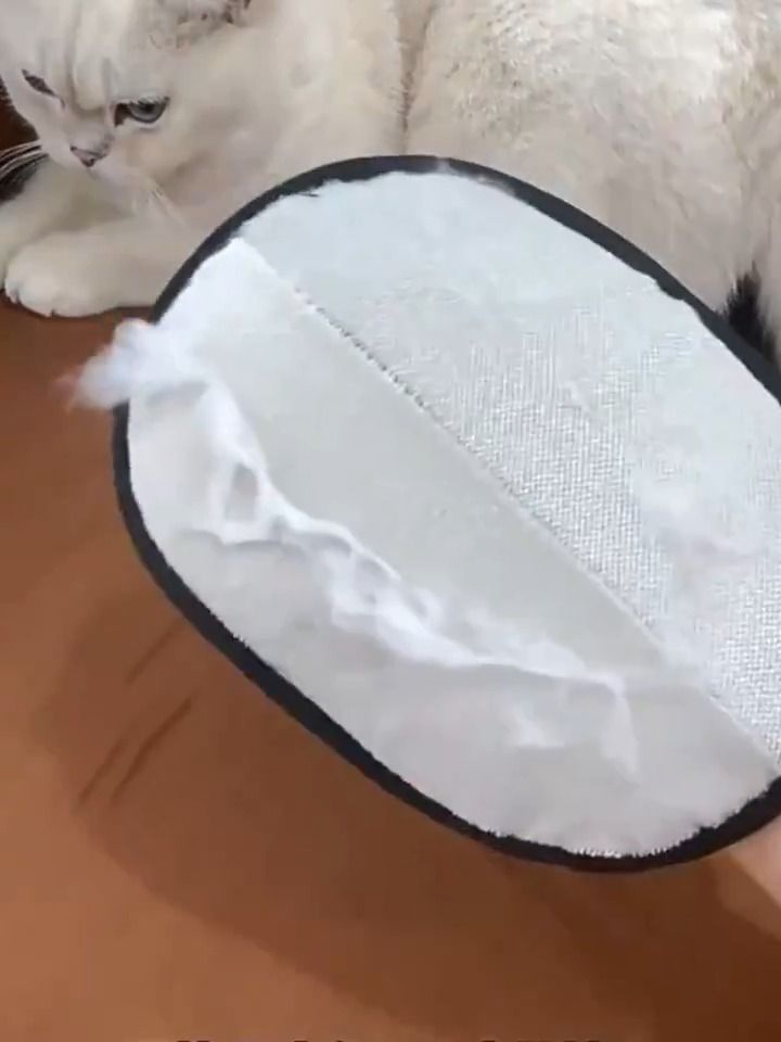 Pet hair remover glove, photo 4