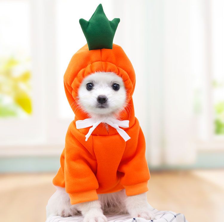 Fleece Dog Hoodie (Fruit & Veggie Hoods): Carrot design