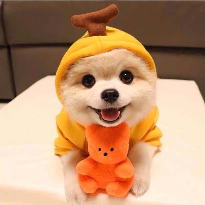Fleece Dog Hoodie (Fruit & Veggie Hoods): Banana design
